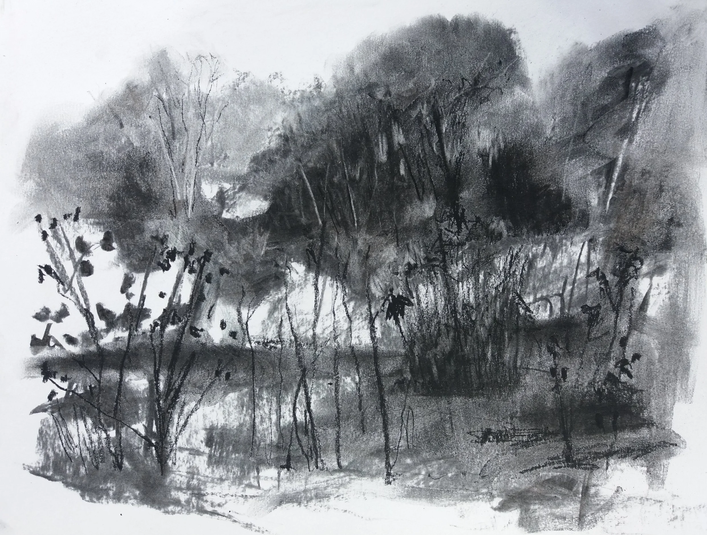 The Day with Butterflies charcoal on paper