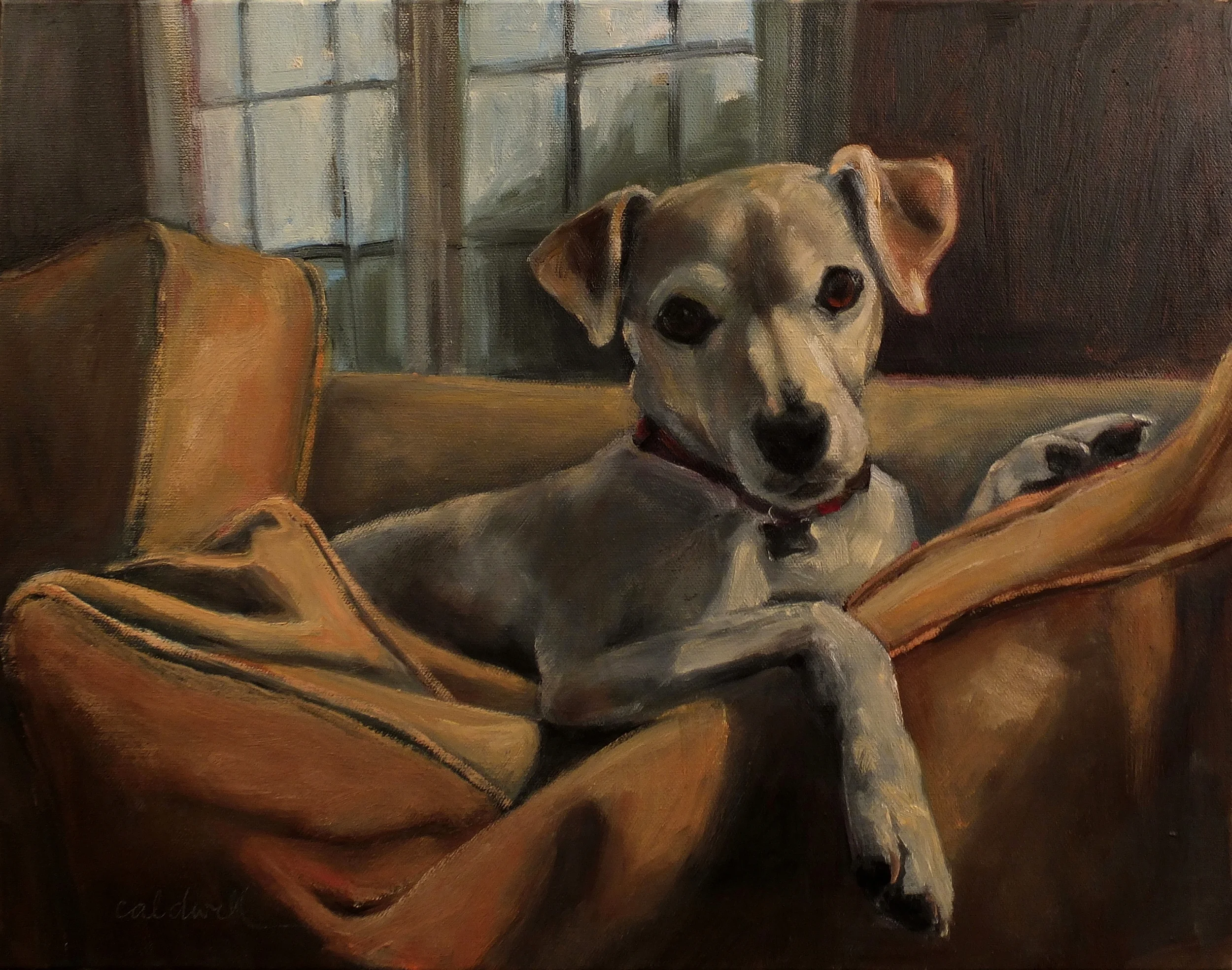 Tucker