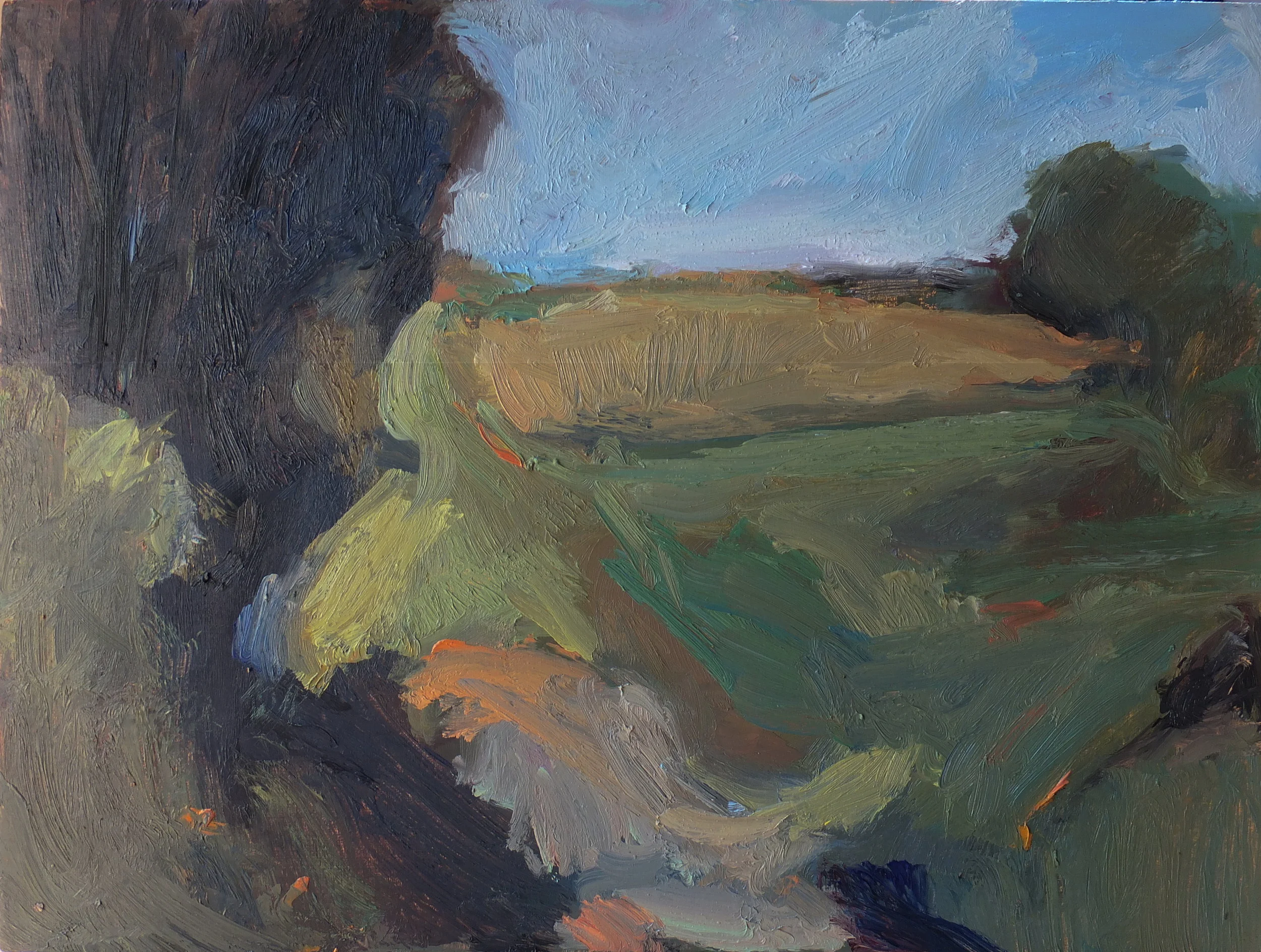 oil/panel 9 x 12" Penn State Trial Gardens property 09/16/17