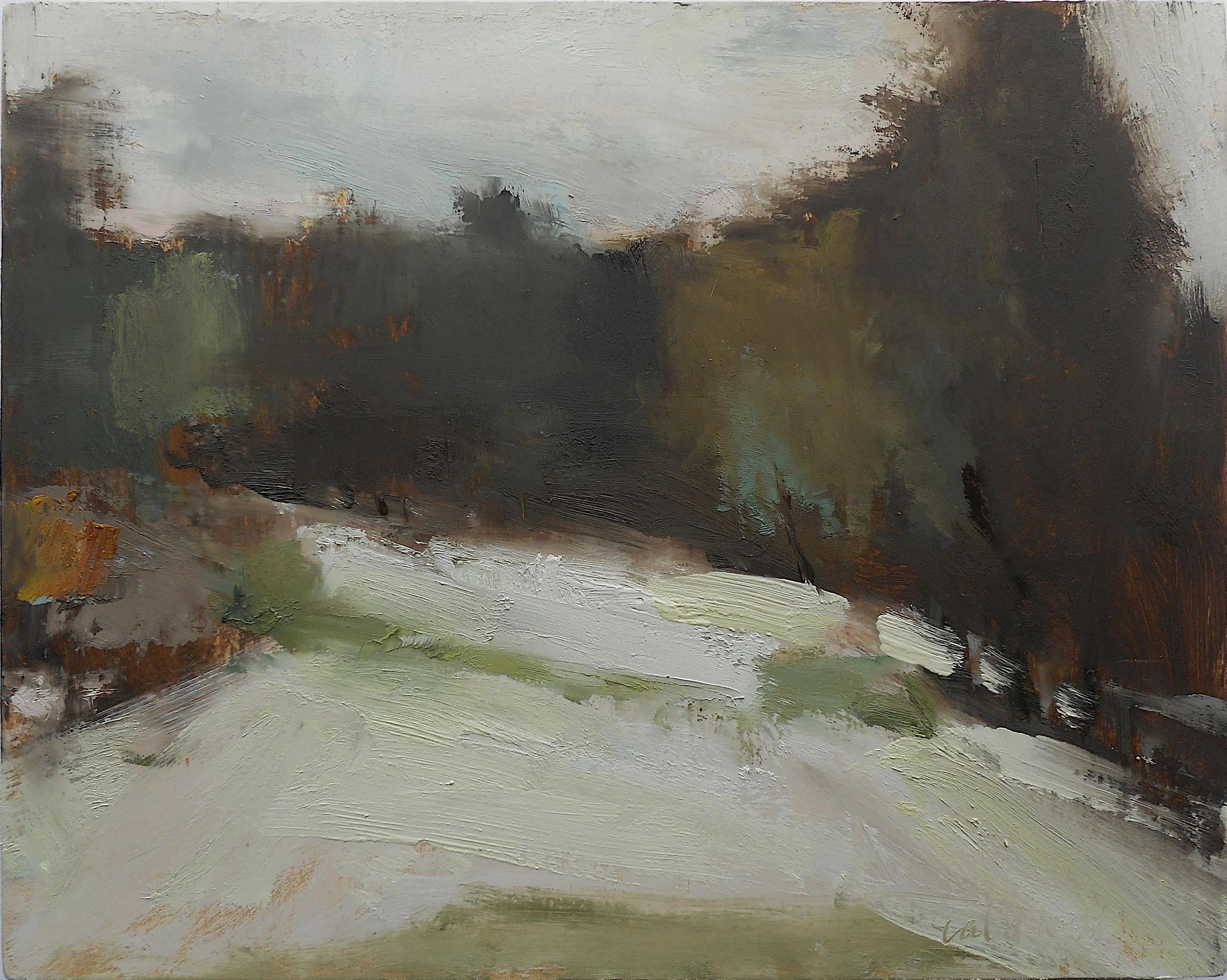oil/cradled birch 8 x 10” Landisville, PA 2018