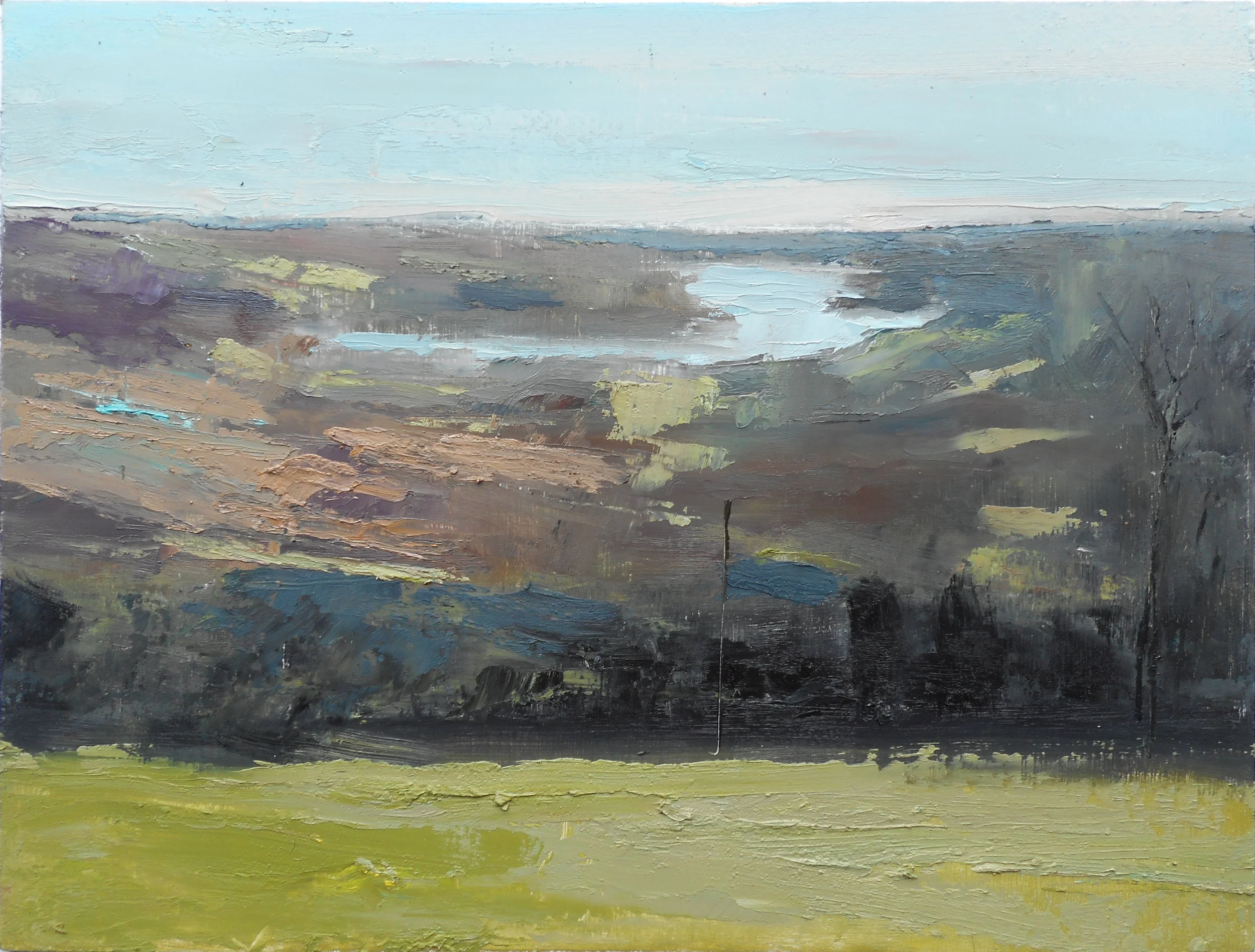 oil/panel 9 x 12” Susquehanna from Sam Lewis State Park March 2019