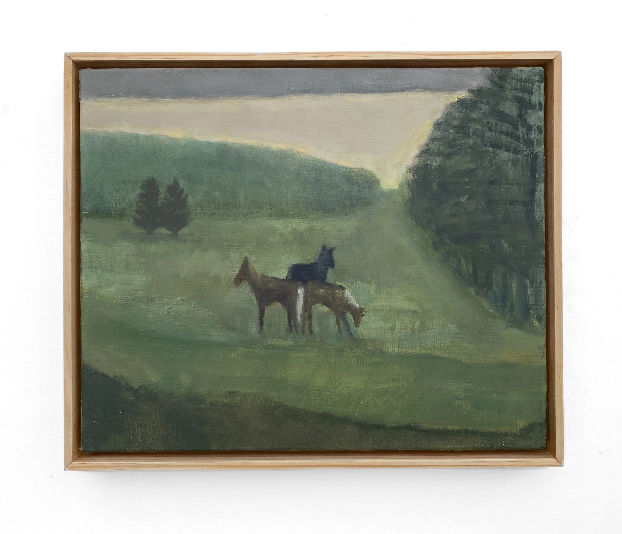 1-Three Horses in a Field.JPEG