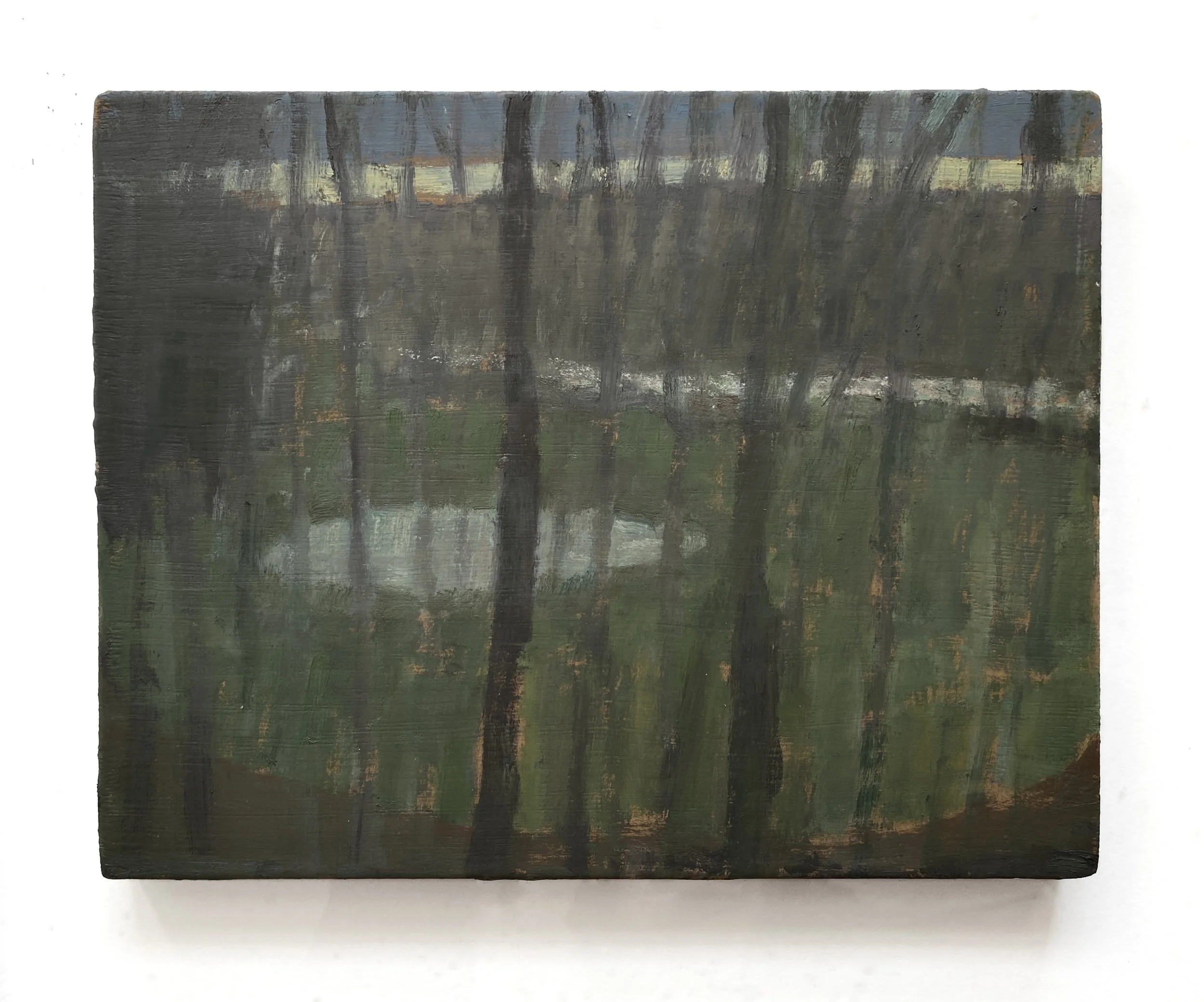 Pond and Distant Creek.jpg