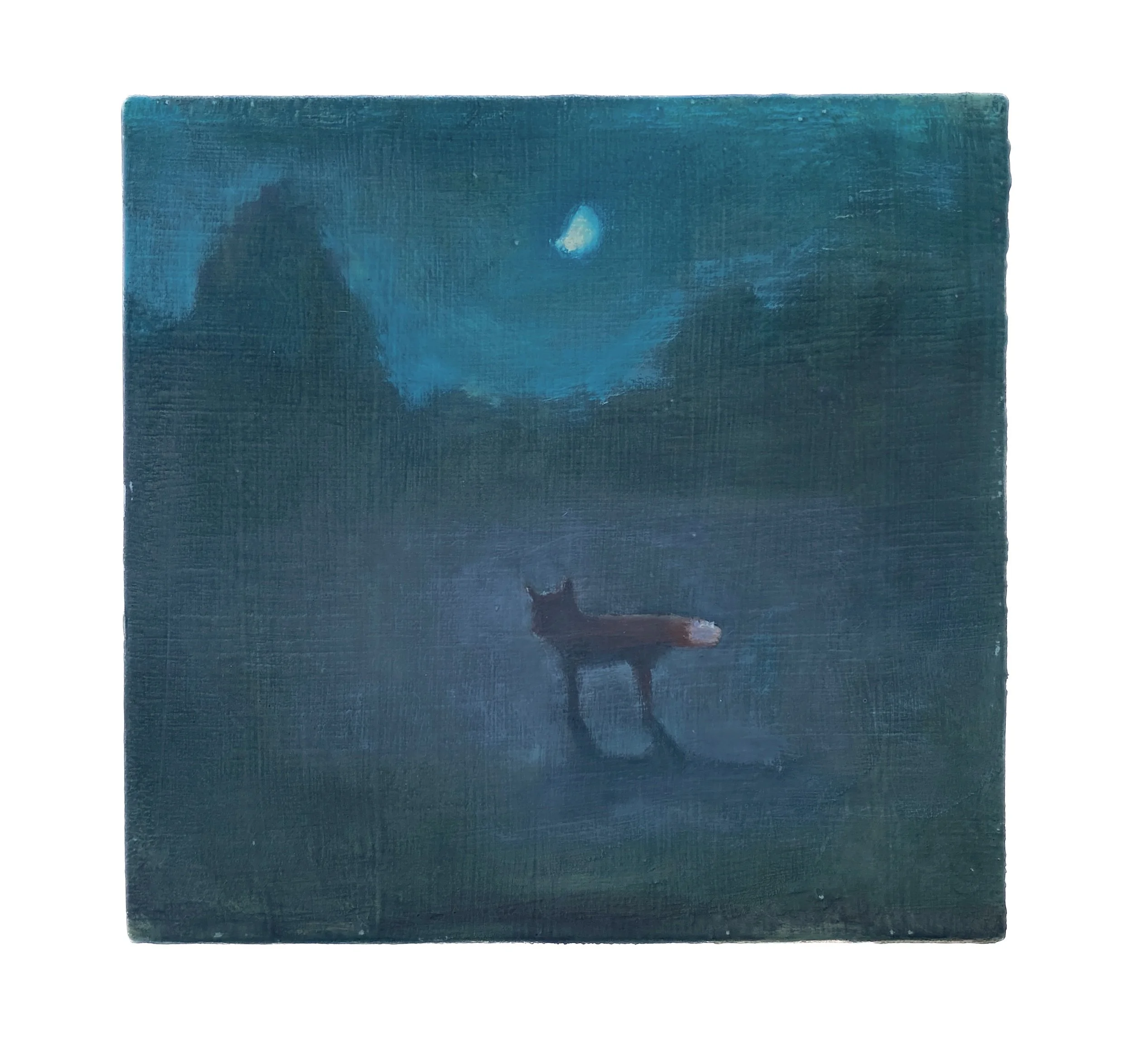 Fox Gazing at the Moon.JPEG