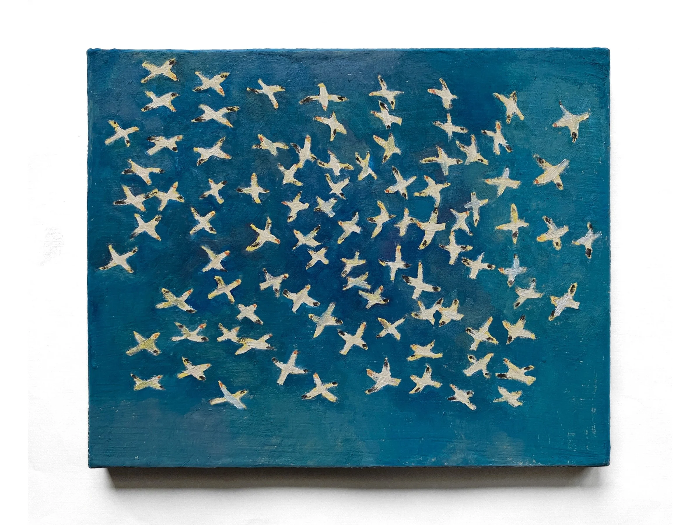 Snow Geese in Flight.JPG