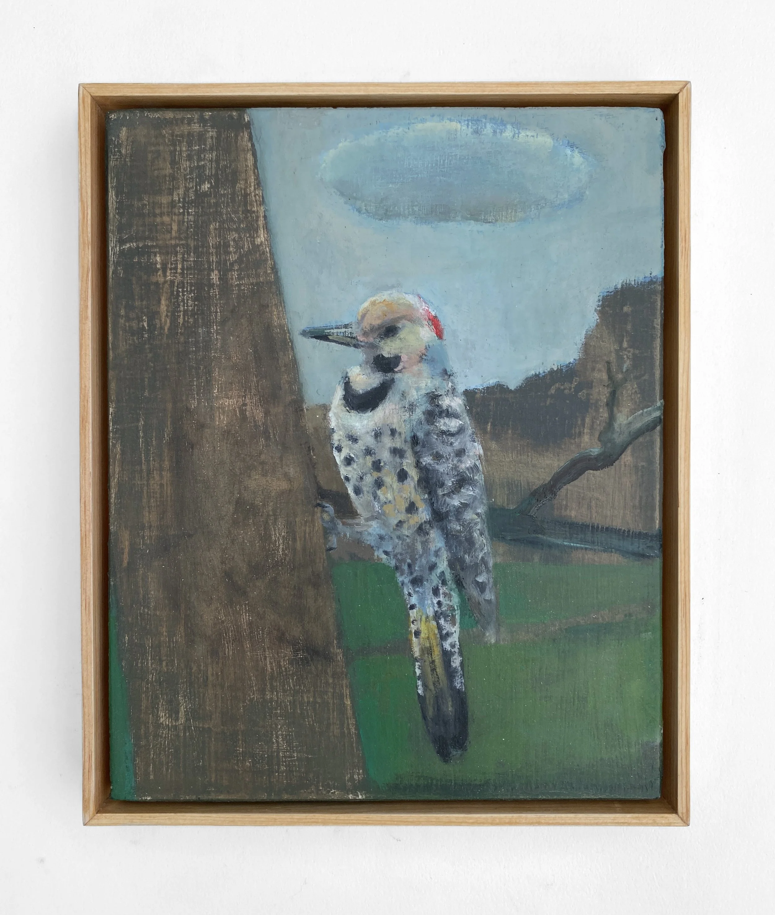 2-Northern Flicker.JPEG