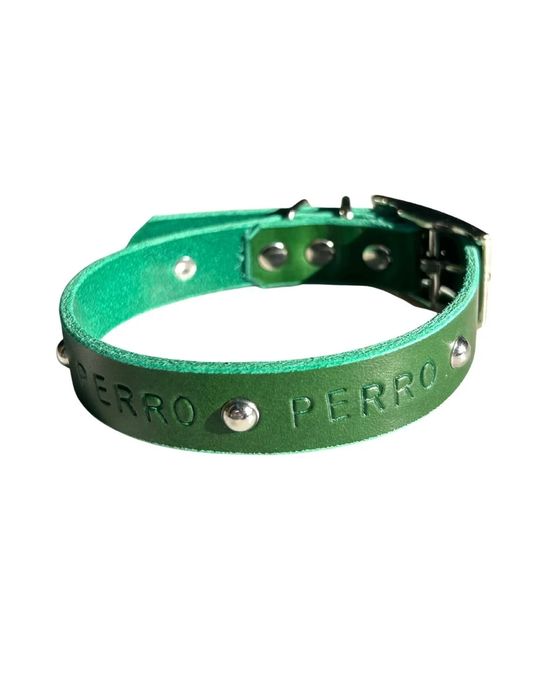 PERROdogcollar.JPEG