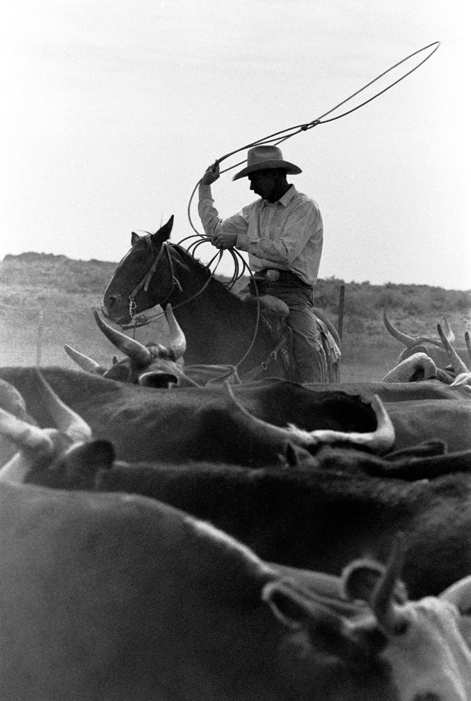  Deep Lake Allotment, Northern Arizona, 1992 