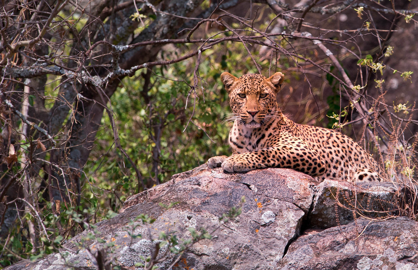 Lester McGuire, Tanzania Photo Workshop