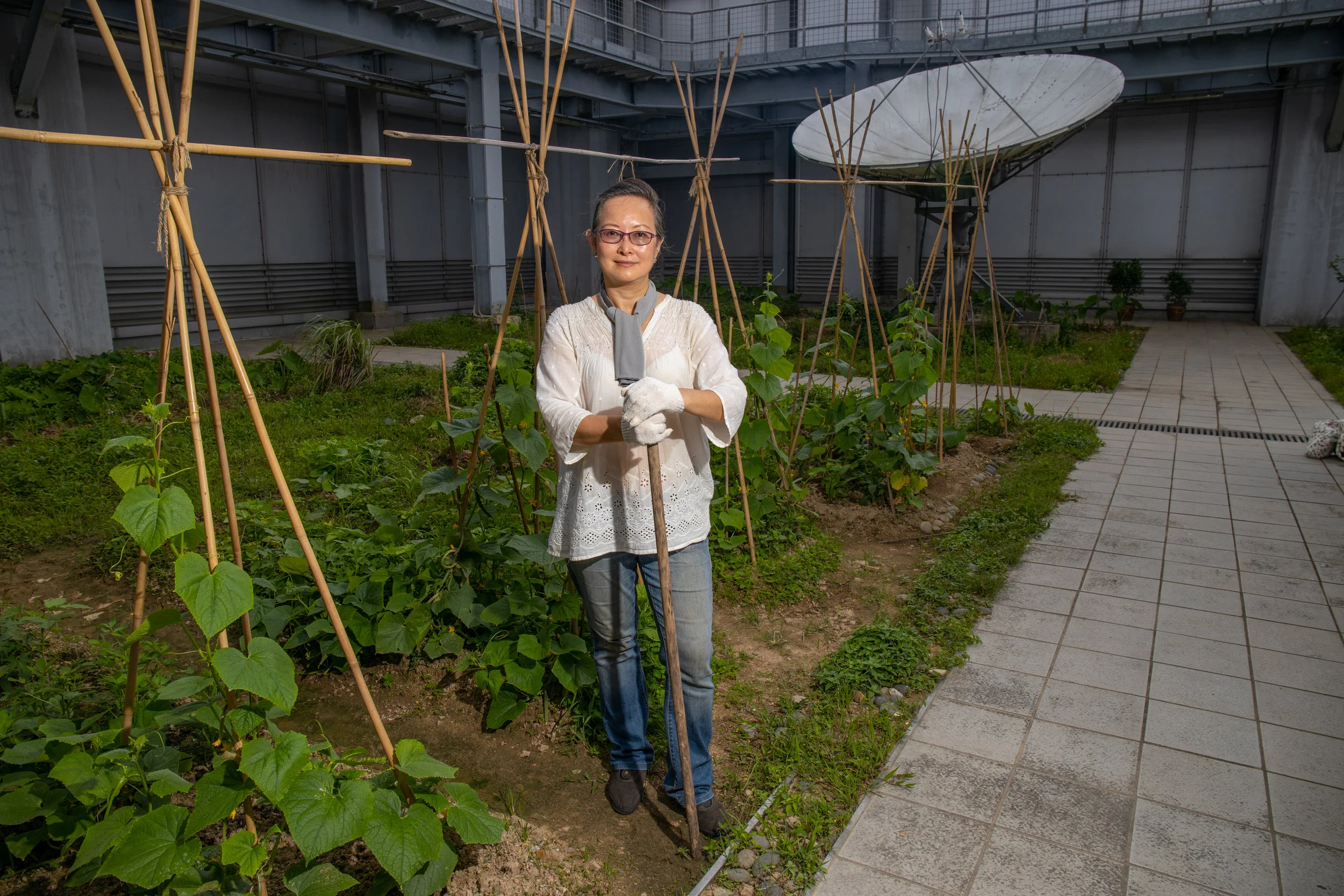 This is a Photograph of the largest urban Farm in Hong Kong. It is on top of the high rise multi-use complex, Hysan Place, a Hong Kong Landmark.