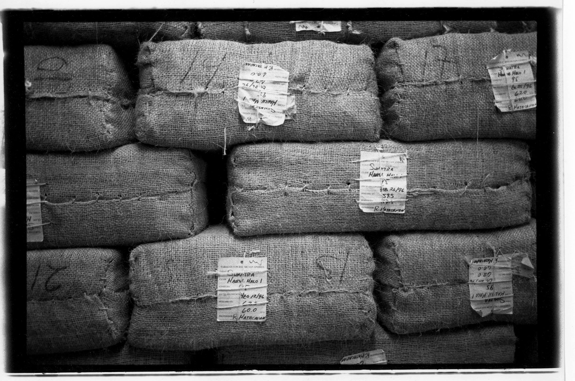  Cruz Real cigar.  Bales of Sumatran Wrapper, Mexico, 1997 