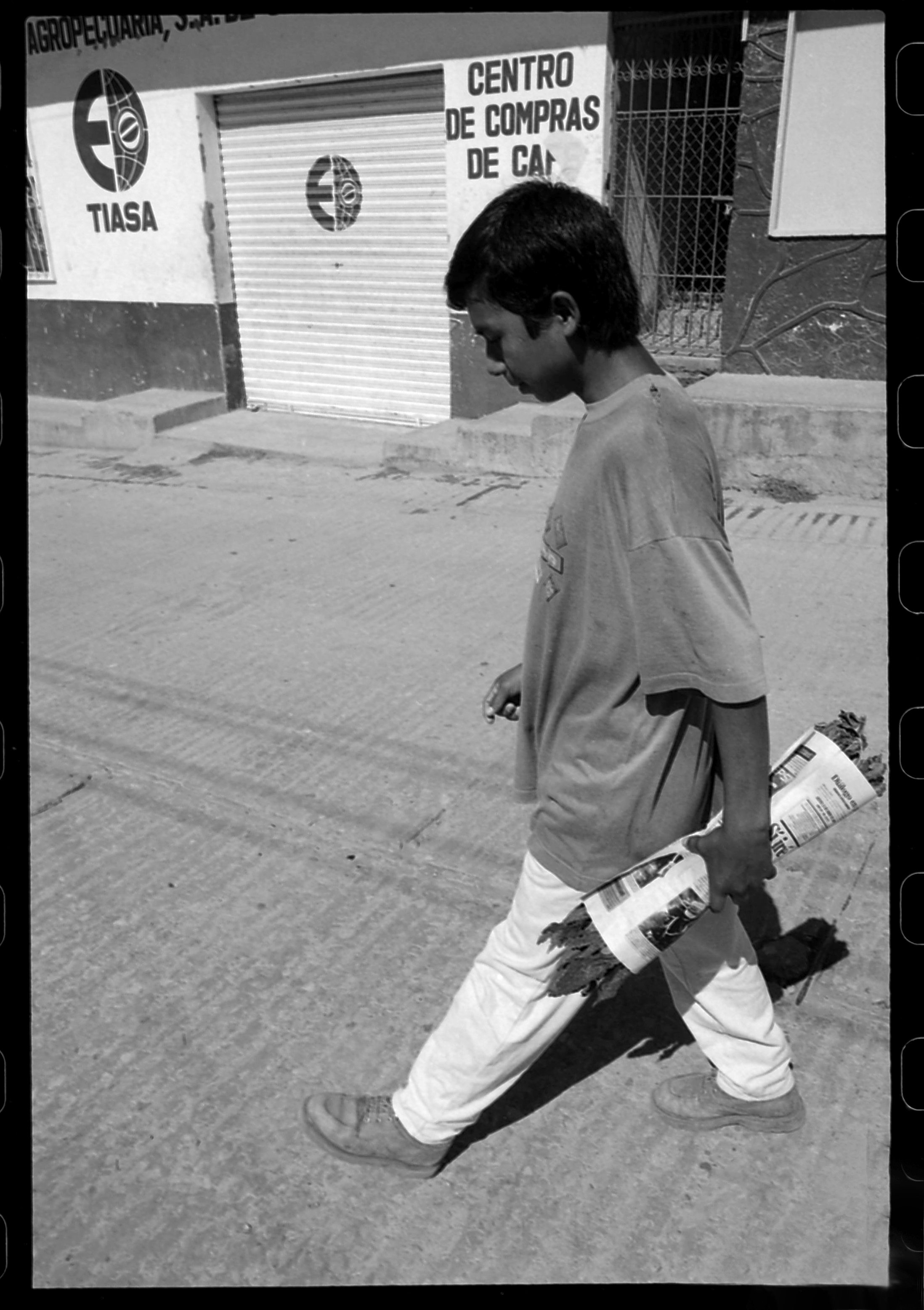  A young boy picking up tobacco leaves for his Grandmother to roll cigars, in order to sell in the markets.  Simojovel, Chiapas Mexico.  