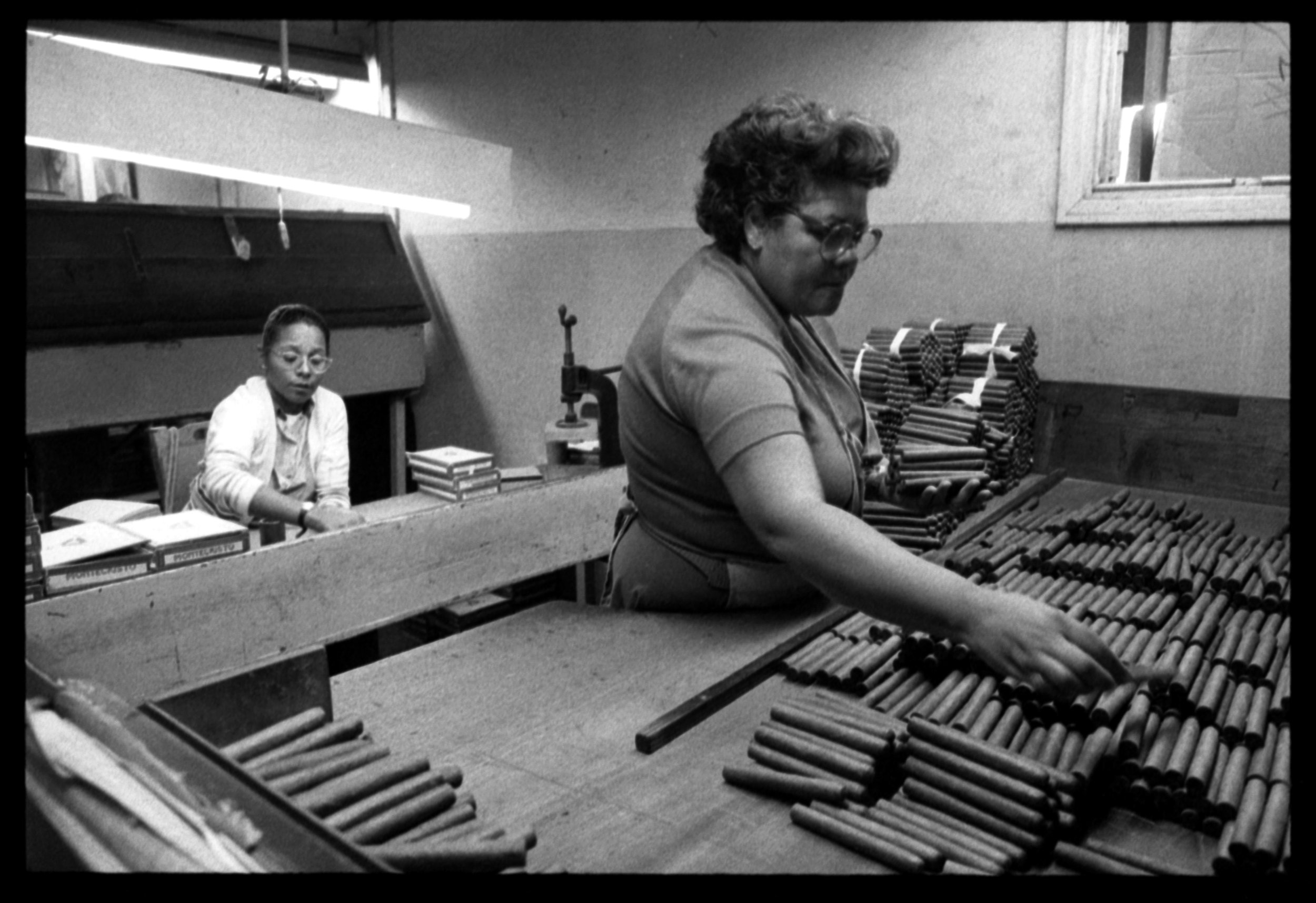  A factory worker grading the cigars by shade and color.   