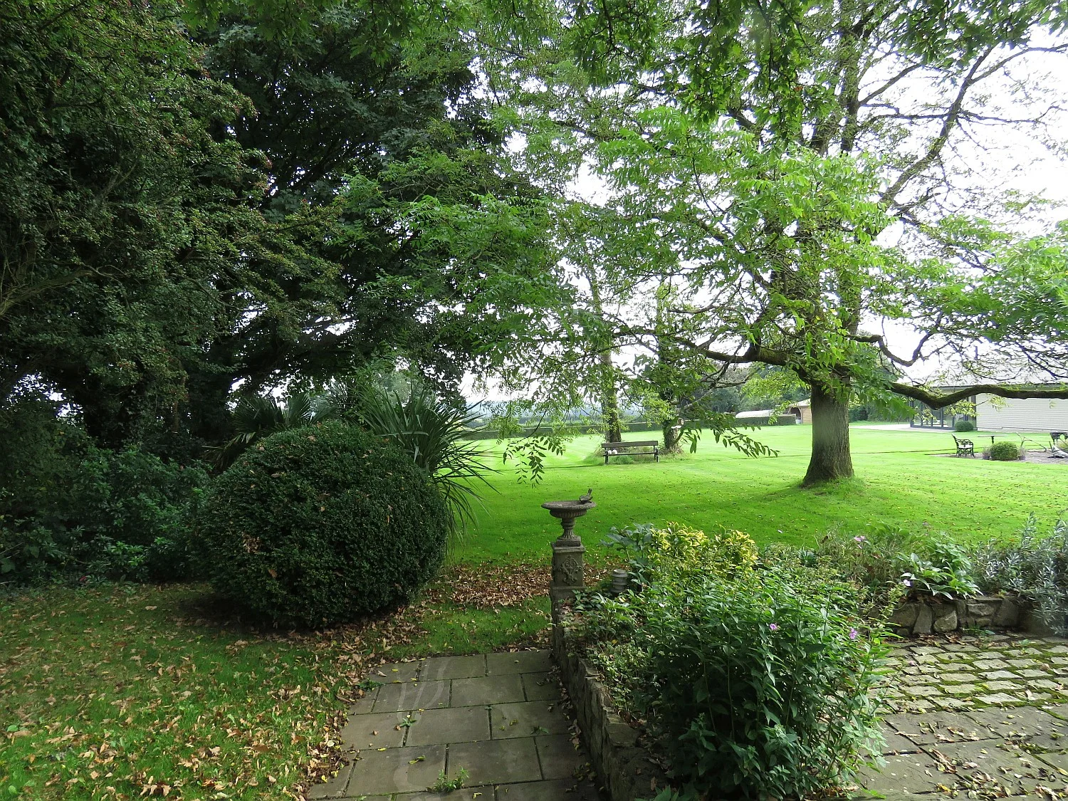Back lawn