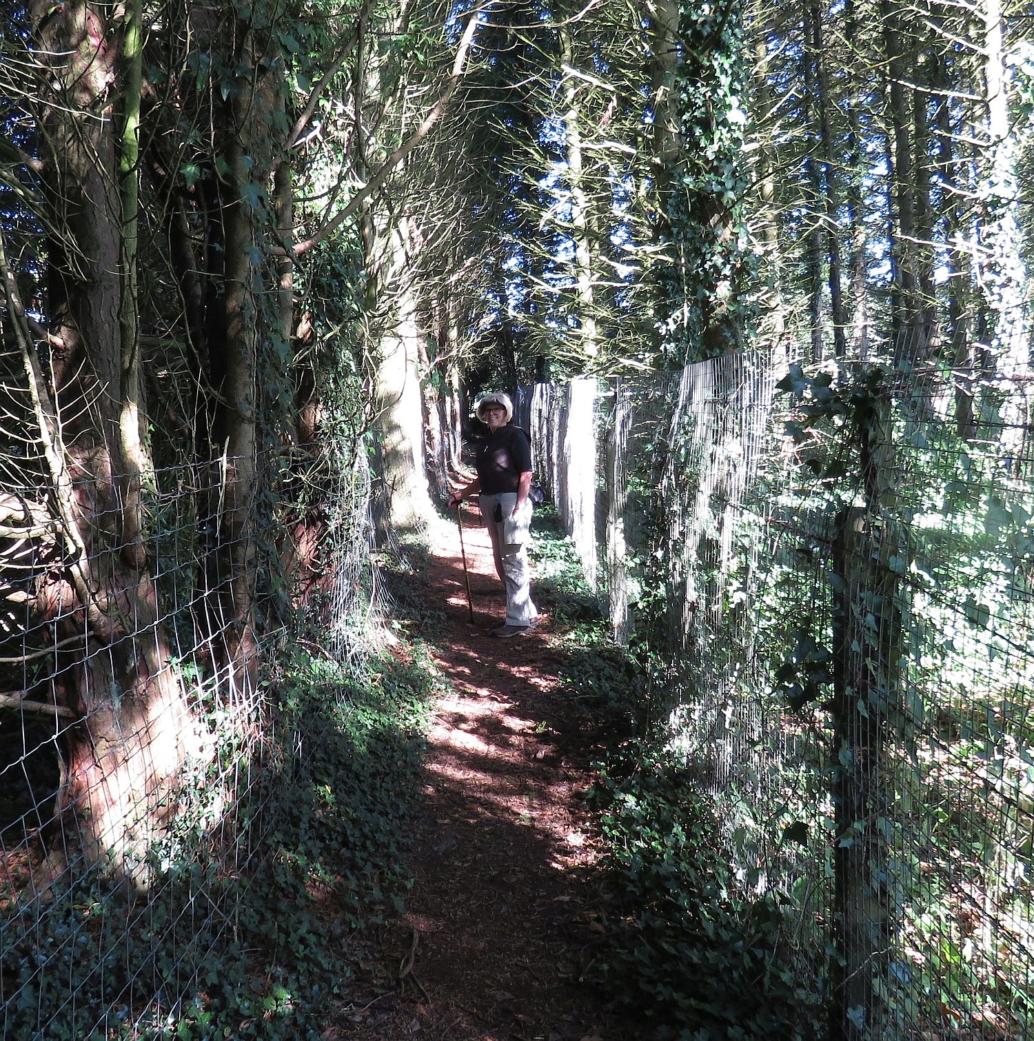 Down the footpath