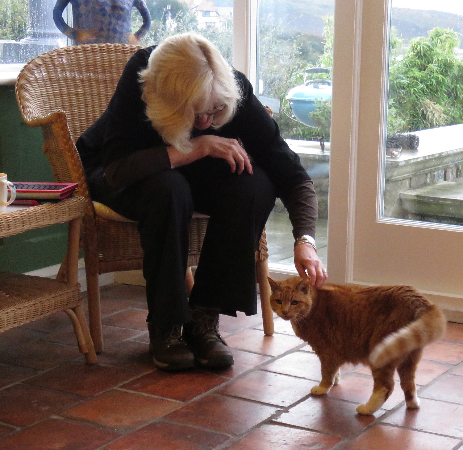 Time out with Dizzy, the Pentower cat