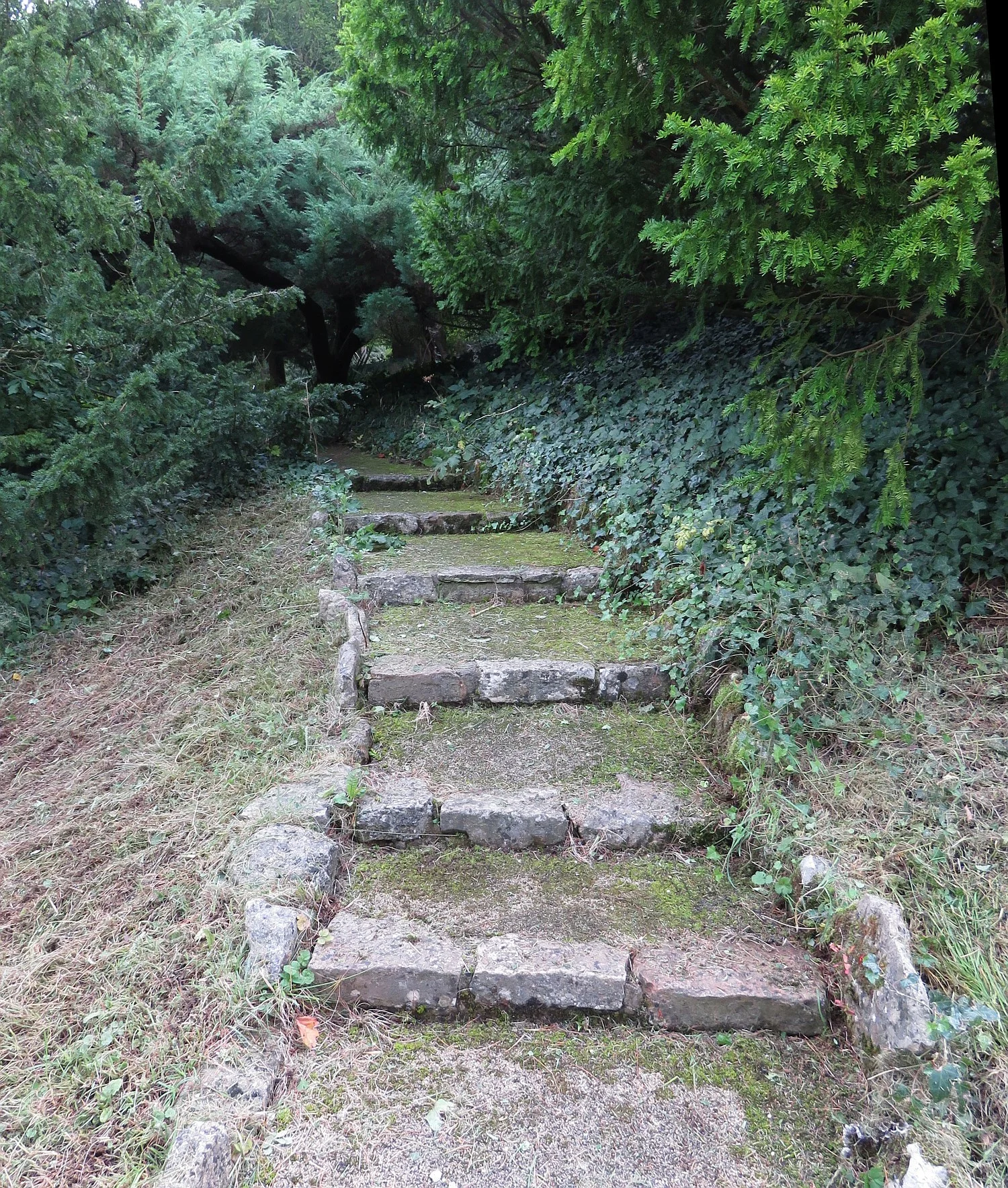 Lots of inviting pathways
