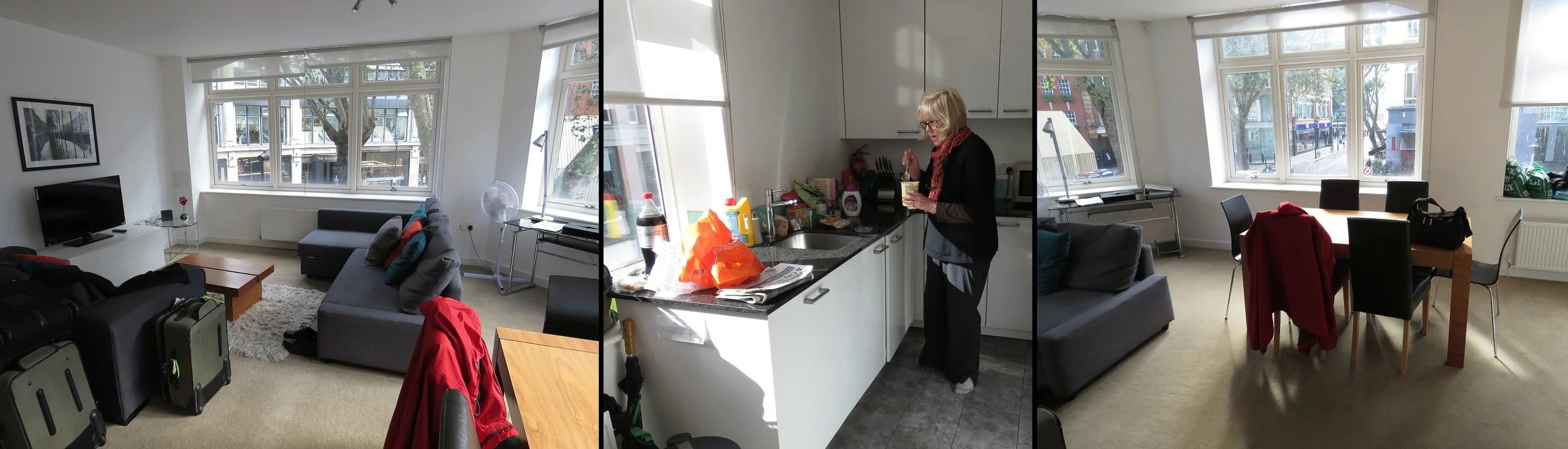 Living room, kitchen, dining area