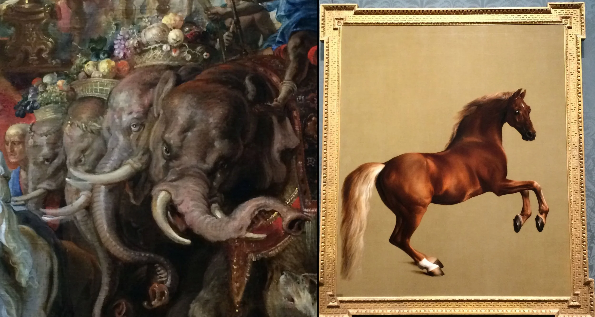 Rubens 