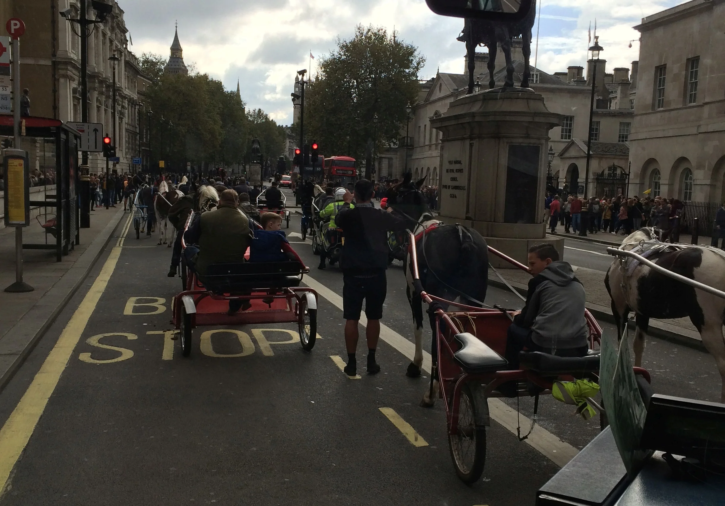 Trotters and sulkies passing the bus and further tying up traffic on Saturday. Never could find anything about them.