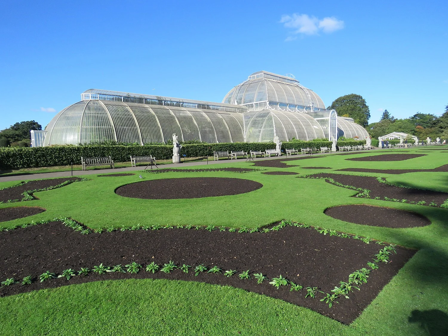 Ed enjoyed Kew Gardens. I went twenty-five years ago and that will hold me for a lifetime.