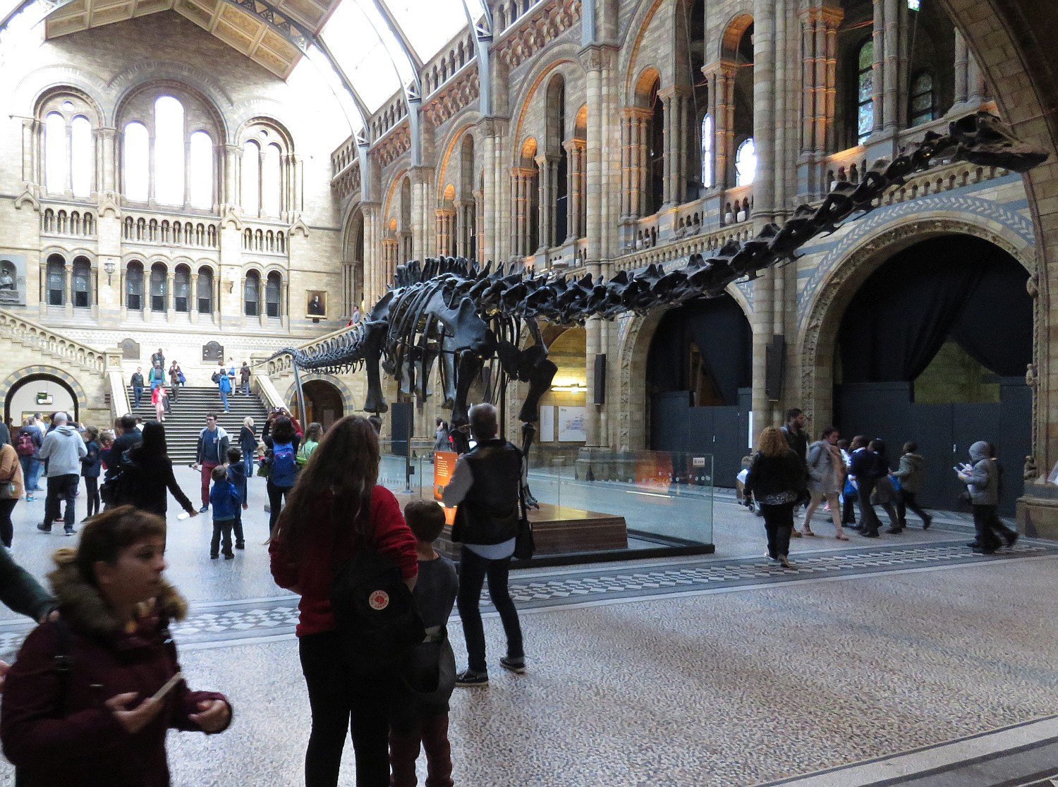 Main hall of Natural History Museum