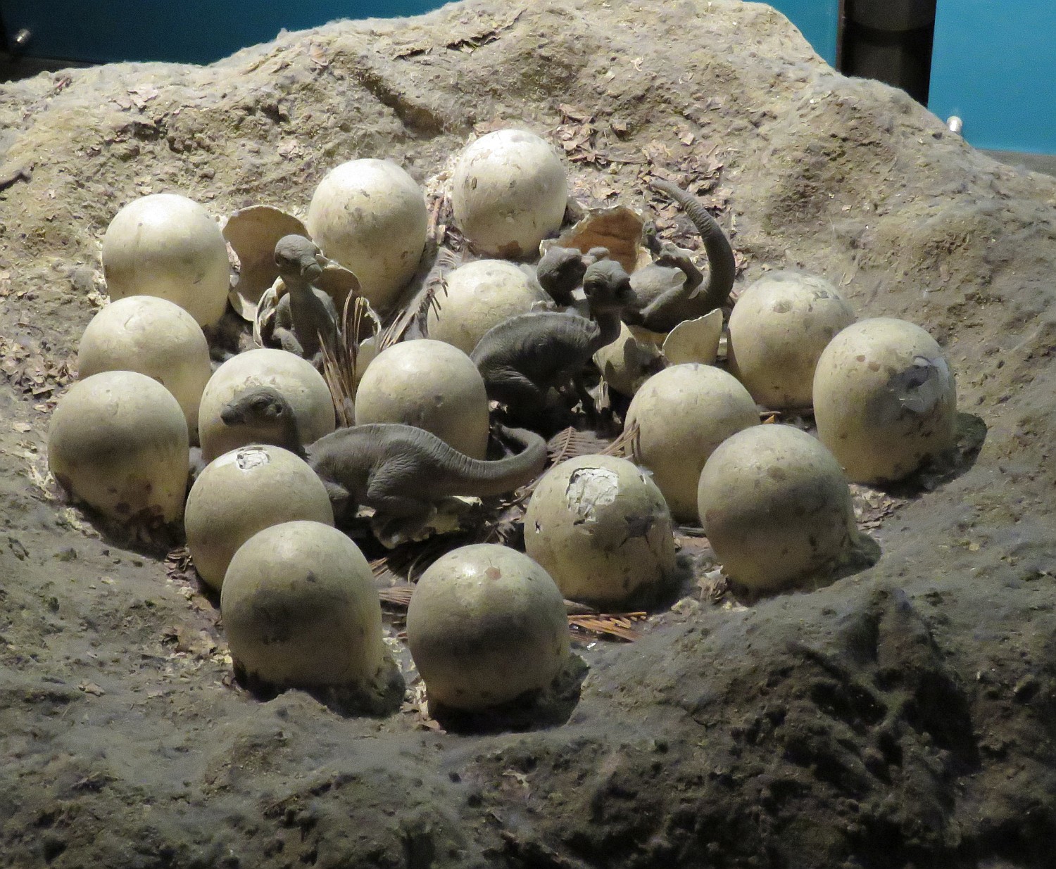 Ornithischian eggs hatching