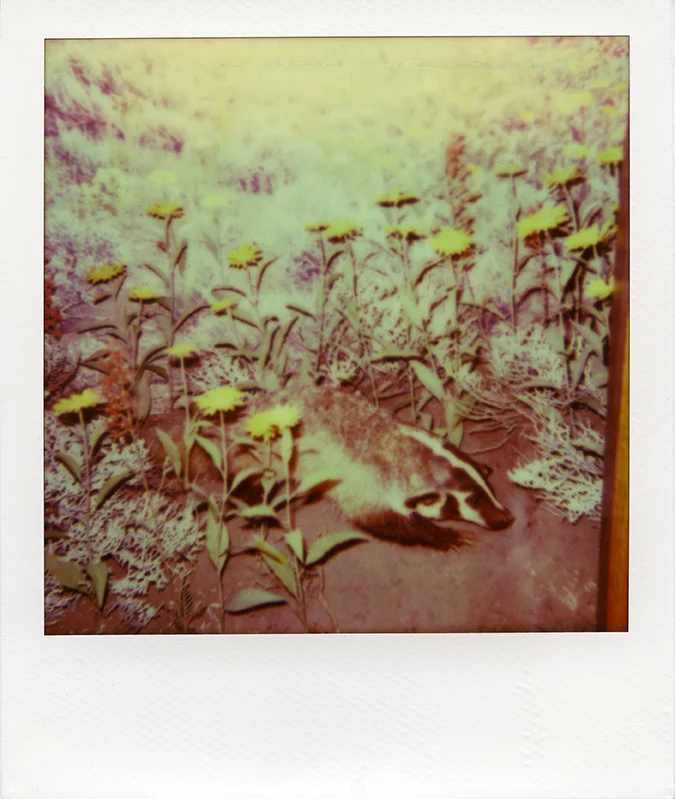 Dioramas_2013_021_72dpi.jpg
