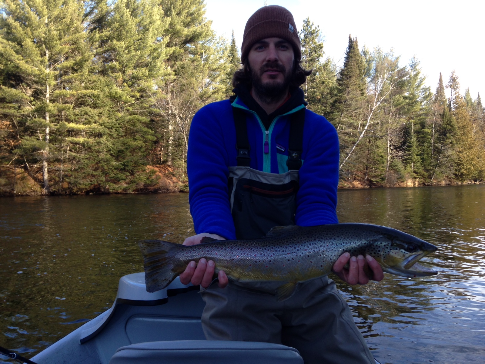 25" Brown