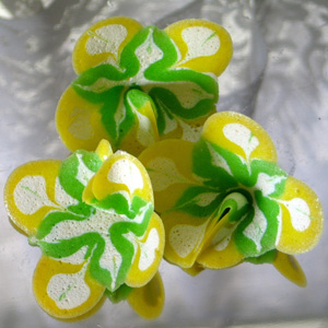 Skylar Hill Confections