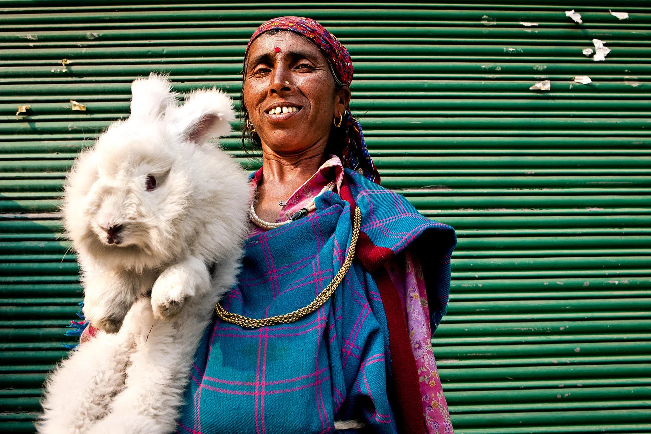 A local woman earns a living by lending her giant Angora rabbit to tourists who pay to be photographed with it - Vashist, Himachal Pradesh, India