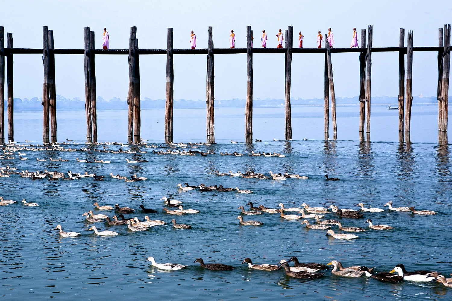 Buddhist nuns crossing the U Bein. At 1200 metres, it is the longest teak bridge in the world - Amarapura, Burma (Myanmar)