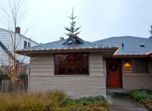 tree through roof.jpg