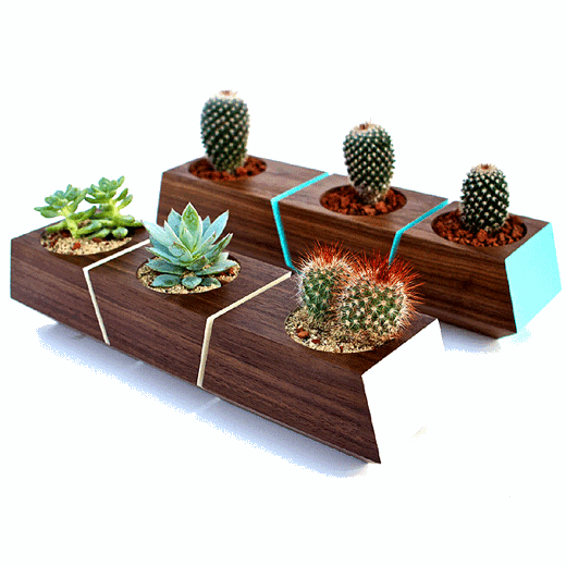 boxcarplanter.gif