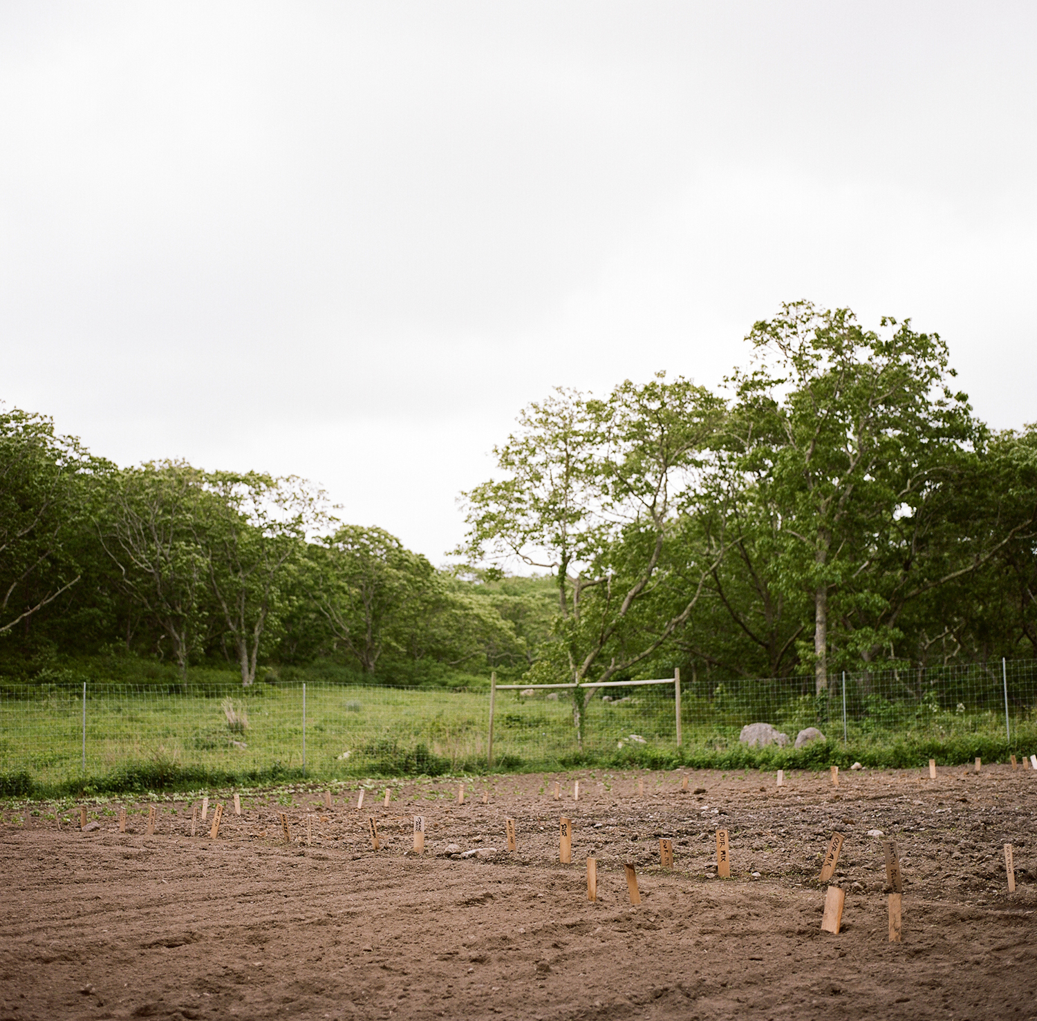 20120601ma_nsl_film-6-2.jpg