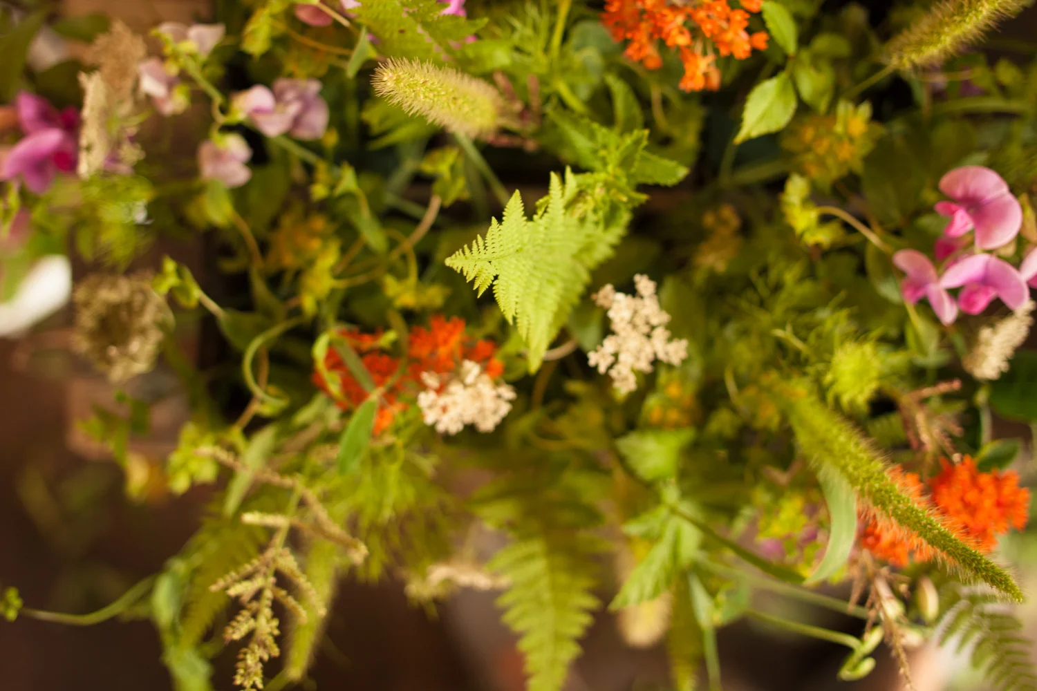 20120726ma_krishana_collins-53.jpg