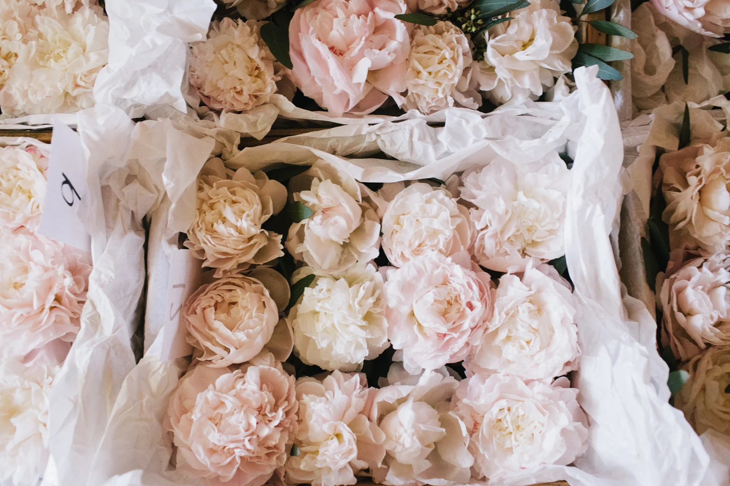 20130627ma_kc_floral_studio-71.jpg