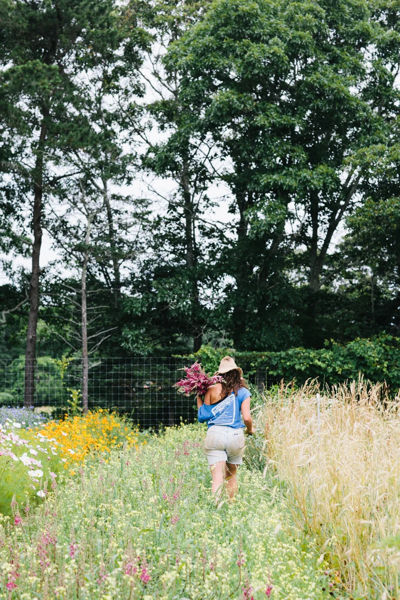 20140708ma_tea_lane_farm-84.jpg