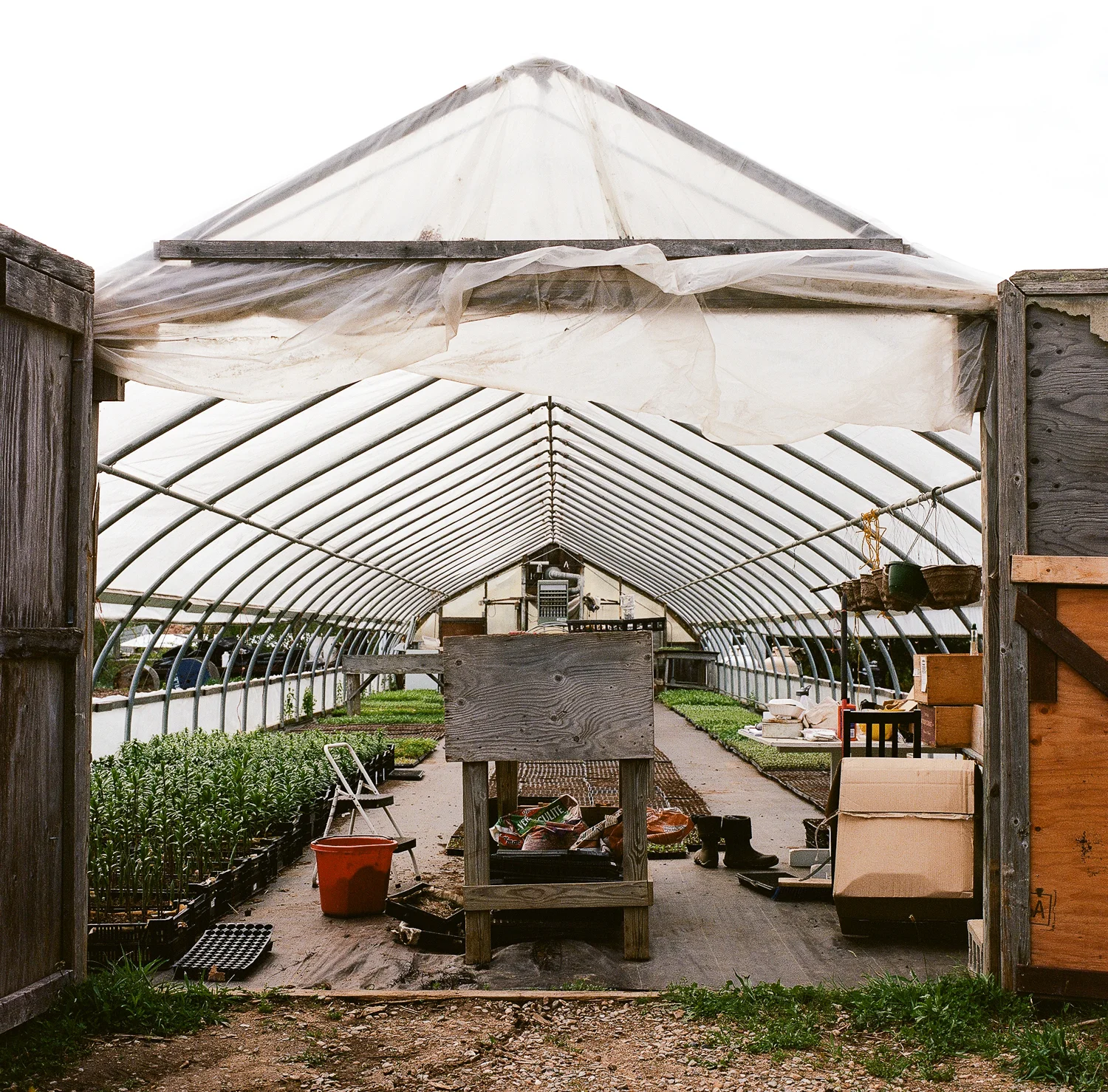 20120601ma_greenhouse_film-2.jpg