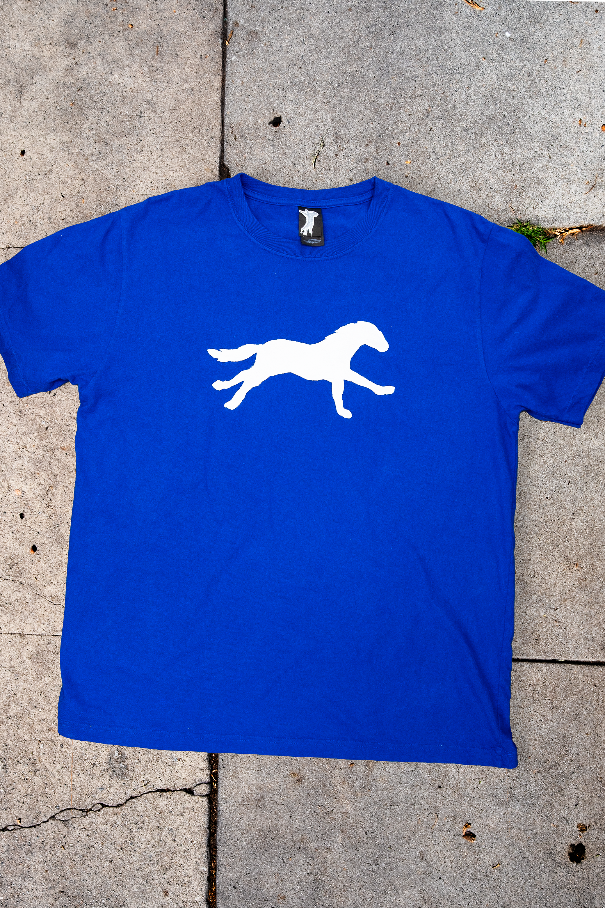 BlueShirt-sm.png