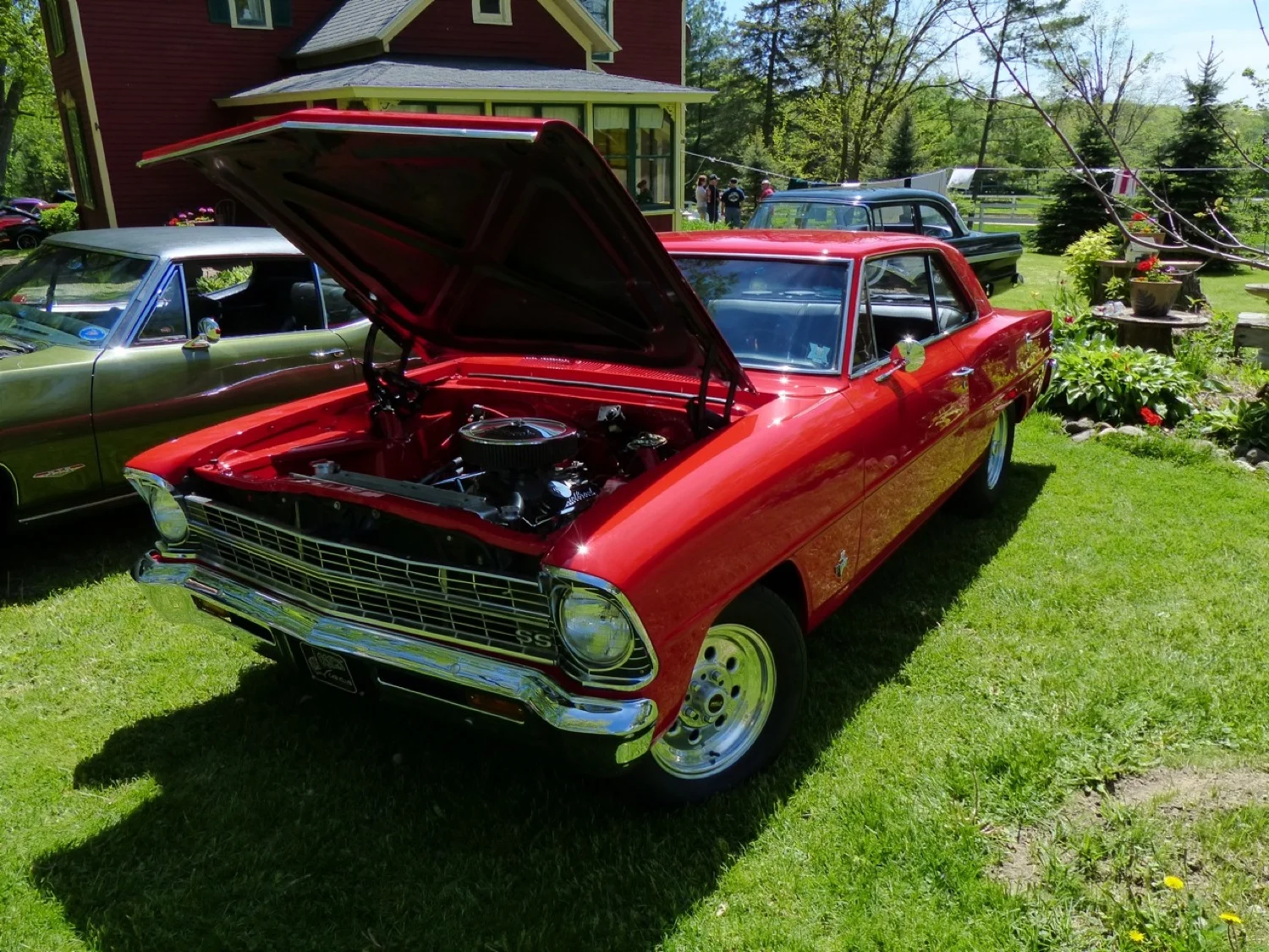 DGR-P1050630-2014.jpg