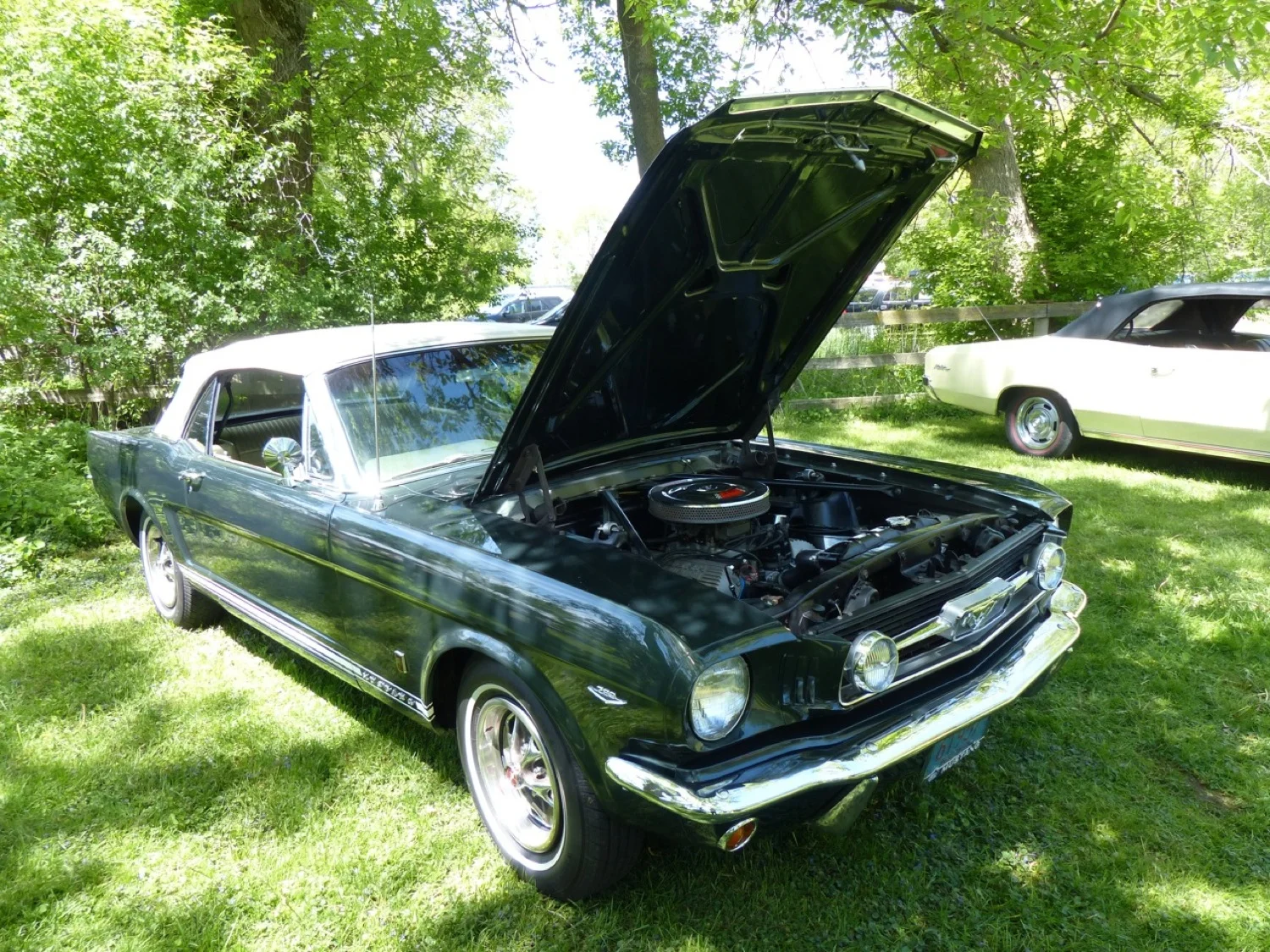 DGR-P1050635-2014.jpg