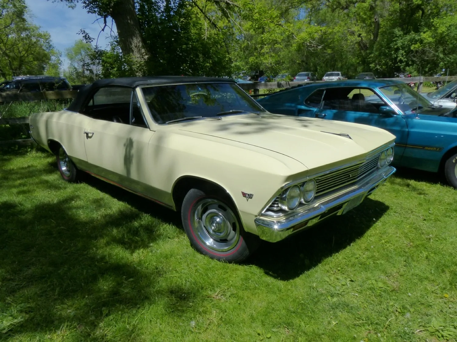 DGR-P1050640-2014.jpg