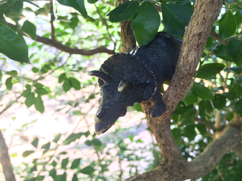 Why was the dinosaur up the tree?