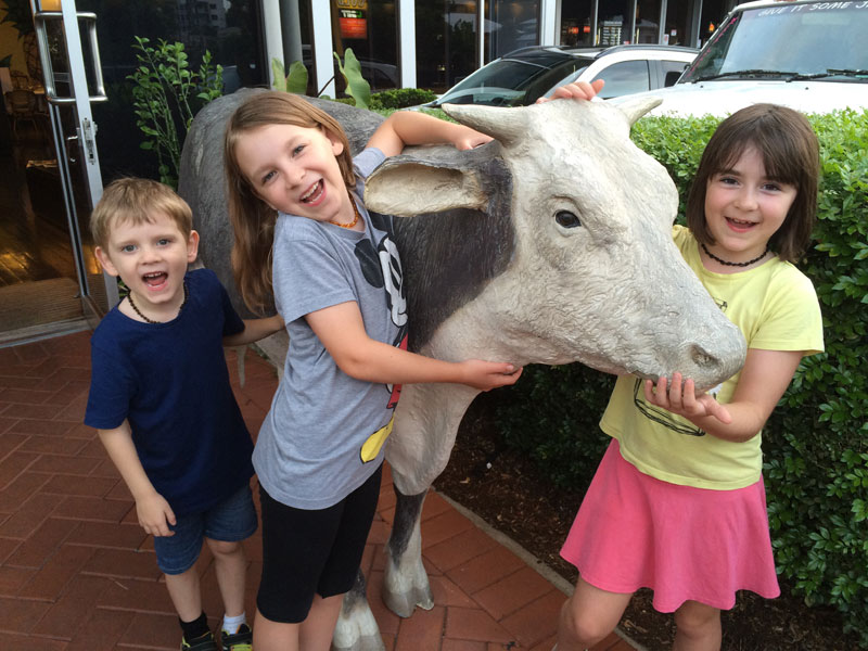 This was a cow out the front of the Pineapple Hotel where we went for dinner on Australia Day. The children are chanting something about cow patties...
