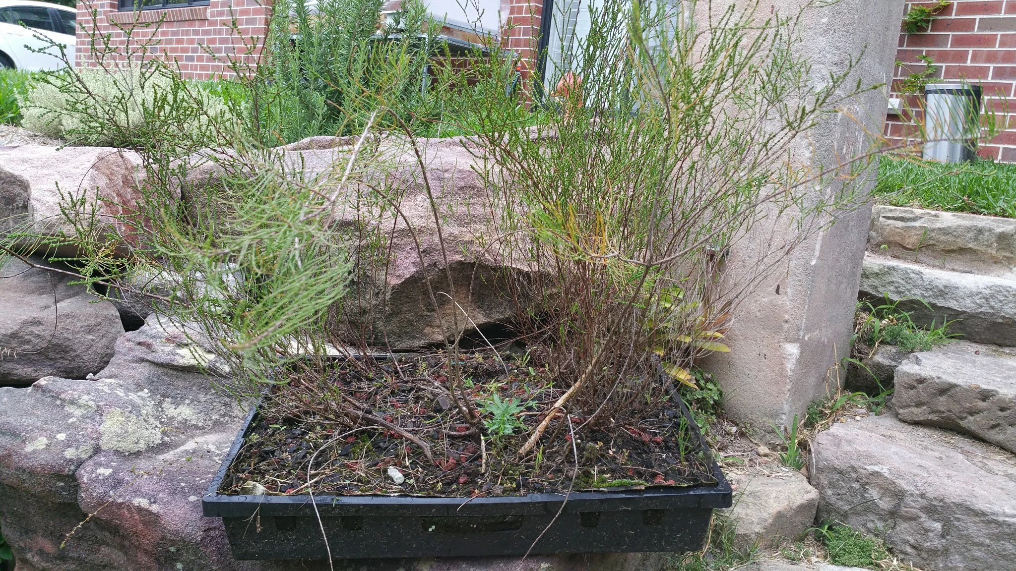 How To Green Your Building Green Roofs