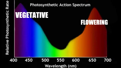 Indoor light spectrum.jpg