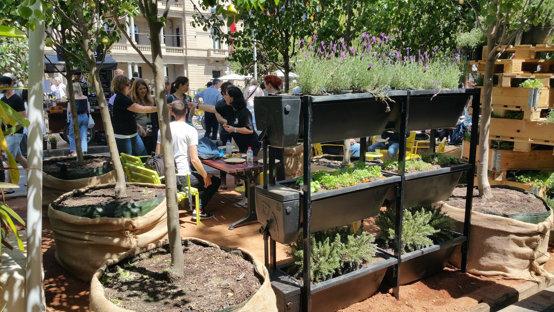 20171013_130913 copy.jpg