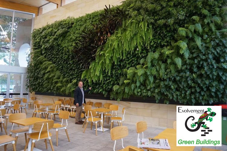 green wall by evolvement pty ltd