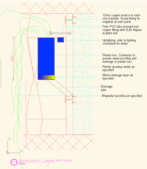 green roof design